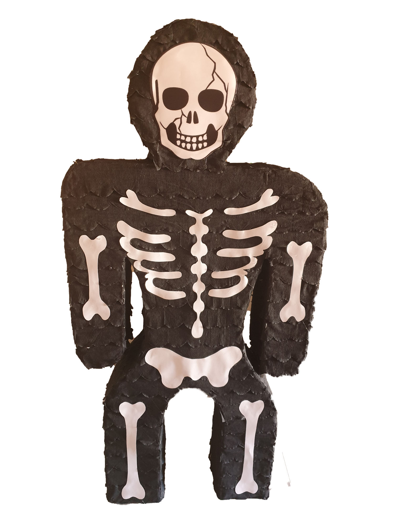 Skeleton